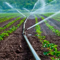 irrigation